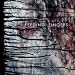 Where the Threads are the Thinnest (MAXI Single)
