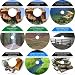 The Inventive 9 CD No Money Down, Millionaire Making Real Estate Compilation