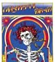 Grateful Dead (Skull & Roses)