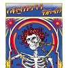 Grateful Dead (Skull & Roses)