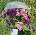 Beckmann Blumenkasten Regenschutz mit Folie