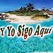 Y Yo Sigo Aquí at Amazon mp3: 61JiWomDToL._SL75_