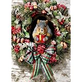 Avanti Christmas Cards, Squirrely Greetings, 10 Count