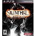 Silent Hill: Downpour