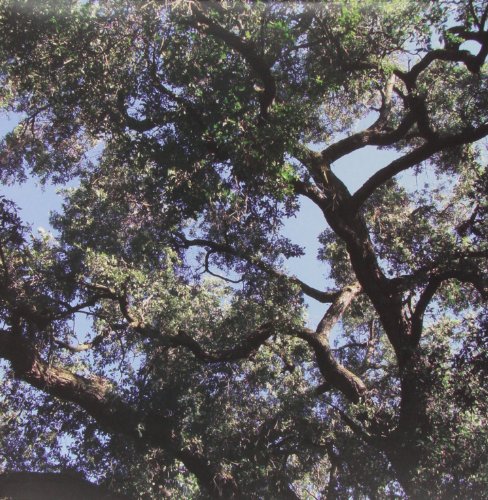 Original album cover of Trees by Charles Manson