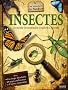 Insectes