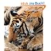 Mein gro�es Buch der Tiger