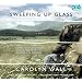 Sweeping Up Glass