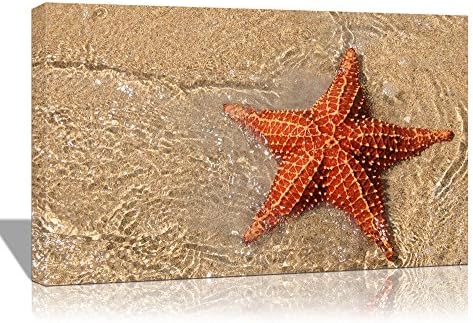 Eden Art 10''x14'' Modern Red Starfish on the Beach Seascape Pictures Photo Prints on Canvas Paintings Home Decor Walls Artwork, HD High Giclle Stretched and Framed Wall Picture, Ready to Hang