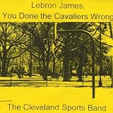 Lebron James, You Done the Cavaliers Wrong - Single