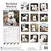 West Highland Terrier Calendar 2017 - Westie - Dog Breed Calendars - 2016 - 2017 wall calendars - 16 Month by Avonside
