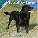 labrador35 - Black Labrador Retriever 2010 Wall Calendar 1020010