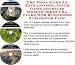 Book The Mega Make An Extra Income, Inner Game and Sales Models for SCUBA Tanks Web Businesses 3 CD Power Pack