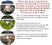 Book The Quick and Easy Make An Extra Income, Inner Game and Sales Models for Badminton Bags On-line Biz Package (3 CDs)