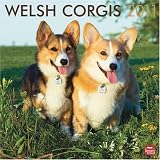 Welsh Corgis 2011 Calendar