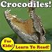 Crocodiles! Learn About Crocodiles While Learning To Read - Crocodile Photos And Facts Make It Easy! (Over 45+ Photos of Crocodiles)
