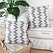 CaliTime Canvas Throw Pillow Cover Case for Couch Sofa Home Decoration Ikat Malposed Zigzag Chevron Geometric 18 X 18 Inches Gray
