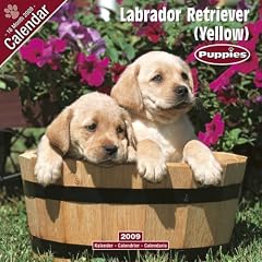 2009 Yellow Labrador Puppies Wall Calendar
