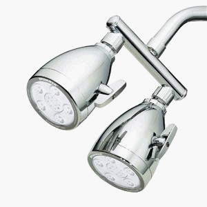 Speakman Co. S2222AF Anystream 10-Jet Double Showerhead