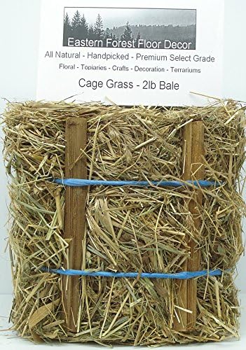 Oregon Coast Cage Grass 2 pound bale