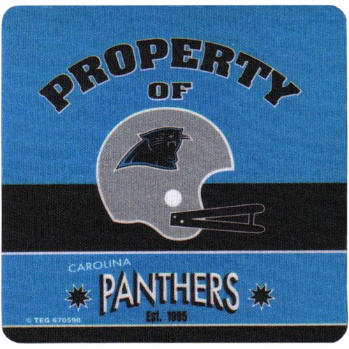 Carolina Panthers Team Reflections 