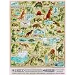 Dinosaur Chart 300pc Jigsaw Puzzle by Carolyn Halliday