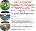Book Massive Cash Flow Pack with Super Marketing, Godfather Principles and Sales Models for Vitamins & Supplements Businesses 3 CD Combo Pack