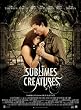 Sublimes cr�atures