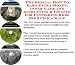 Book The Special How To Earn Extra Money, Inner Game and Accounting & Finance for Flyfishing Rods Biz 3 CD Package