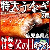 父の日 ギフト【国産】炭火焼うなぎ蒲焼2尾 特大サイズ 鹿児島県産