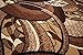 Generations Contemporary Brown and Beige Modern Square and Circles Area Rug 5'2 x 7'3