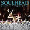 JUMP UP THE WALL�iDVD�t�j