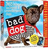 Bad Dog Page-A-Day 2012 Desk Calendar
