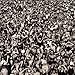 Listen Without Prejudice