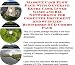 Massive Cash Flow Pack with Generate Extra Cash, Inner Game and Biz Networking for Computer Equipment And Supplies Businesses 3 CD Combo Pack