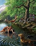 James Meger Summer Places 1000Pc Jigsaw Puzzle