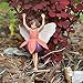 Miniature Fairy Garden Fuchsia Fairy