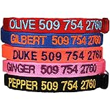 Custom Embroidered Cat Id Collars with Breakaway Safety Release Buckle - Personalized Kitty Collars with Pet Name and Phone number. Adjustable.