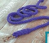 Hamilton 10' x 3/4 Cotton Rope Lead with Bolt Snap