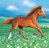 Luncheon Napkin My Horse - 192 Count