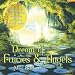 Dream of Fairies and Angels