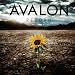 Alive