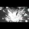 Video of Kodomo