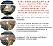 The Special How To Earn Extra Money, Sales Models and eCommerce for Fitness Accessories Web Biz 3 CD Course