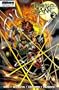 Painkiller Jane #2 : Dead in the Water (Event Comics)