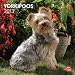 Yorkipoos 2013 Calendar