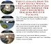Search Our Specialty Mall : The Ultimate How To Earn Extra Money, Godfather Principles and Sales Models for Coin Collecting Holders Biz 3 CD Package