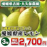 愛媛県産 有機栽培レモン 3kg 【宇和島吉田・大久保農園】【新鮮産直 愛媛のうた】