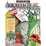 Start Exploring Architecture: A Fact-Filled Coloring Book (Start Exploring)