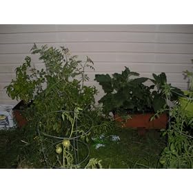 EarthBox RB-EB-PBB Garden Kit
